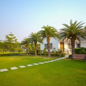 WhatsApp Image 2025-08-07 at 8.59.15 PM